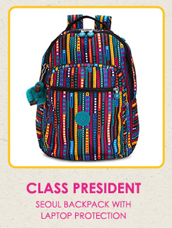 Class President.  Seoul backpack with laptop protection.