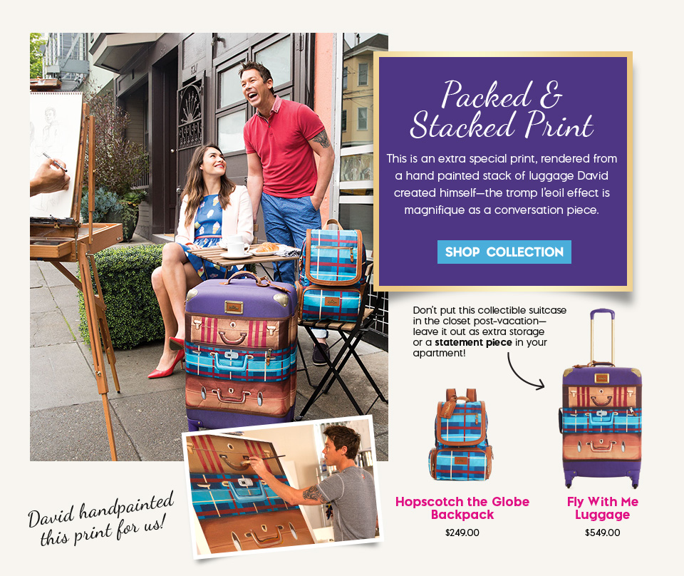 David Bromstad Packed & Stacked Print Bags & Luggage Collection